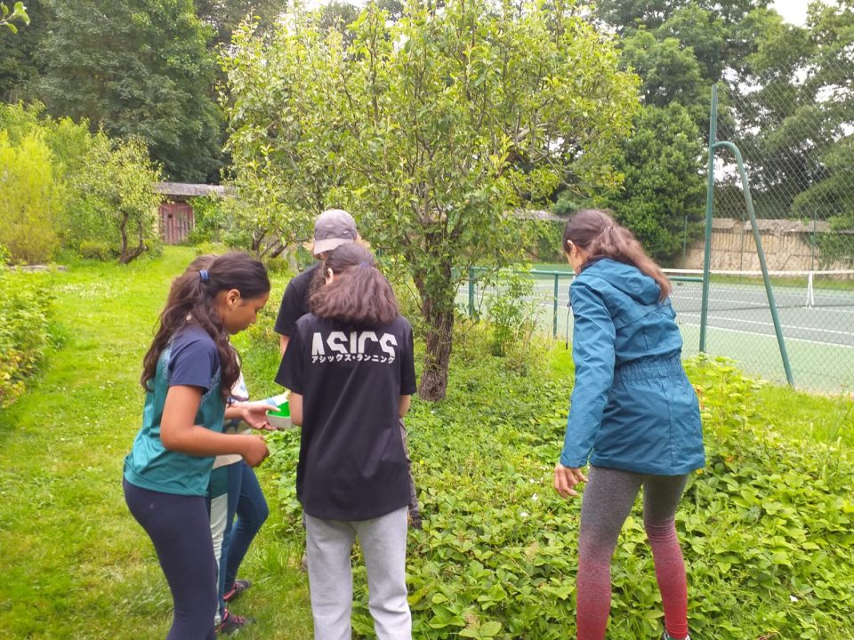 les apprenants ados promenades durant leur stage anglais aux Châteaux des langues