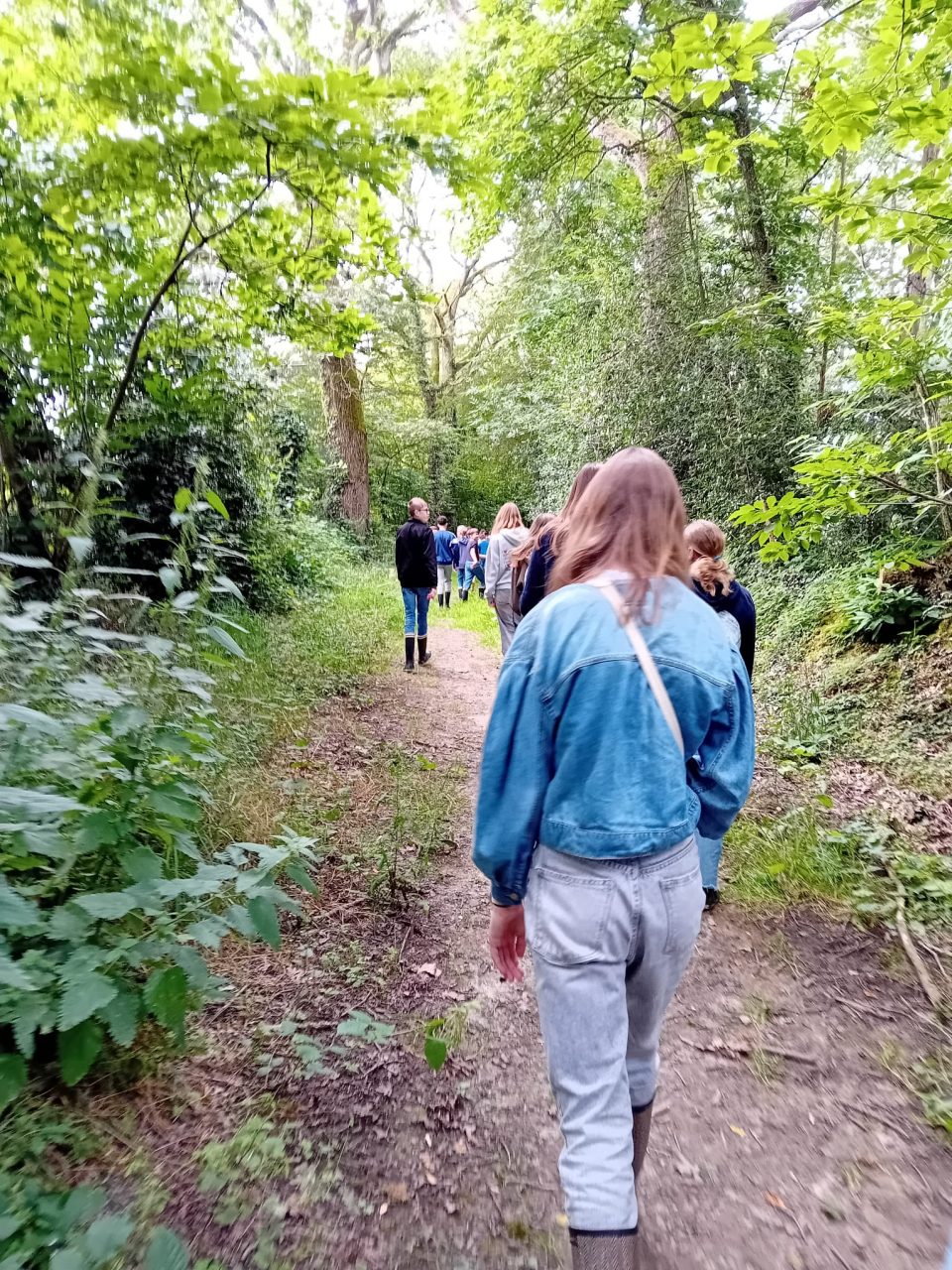 les apprenants ados promenades durant leur stage anglais aux Châteaux des langues