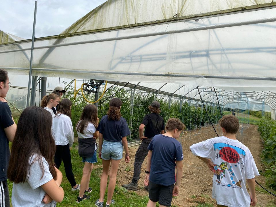 les apprenants ados promenades durant leur stage anglais aux Châteaux des langues