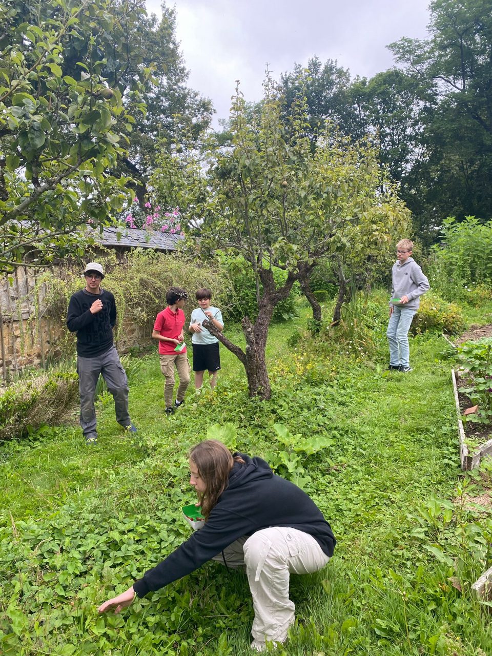 les apprenants ados promenades durant leur stage anglais aux Châteaux des langues