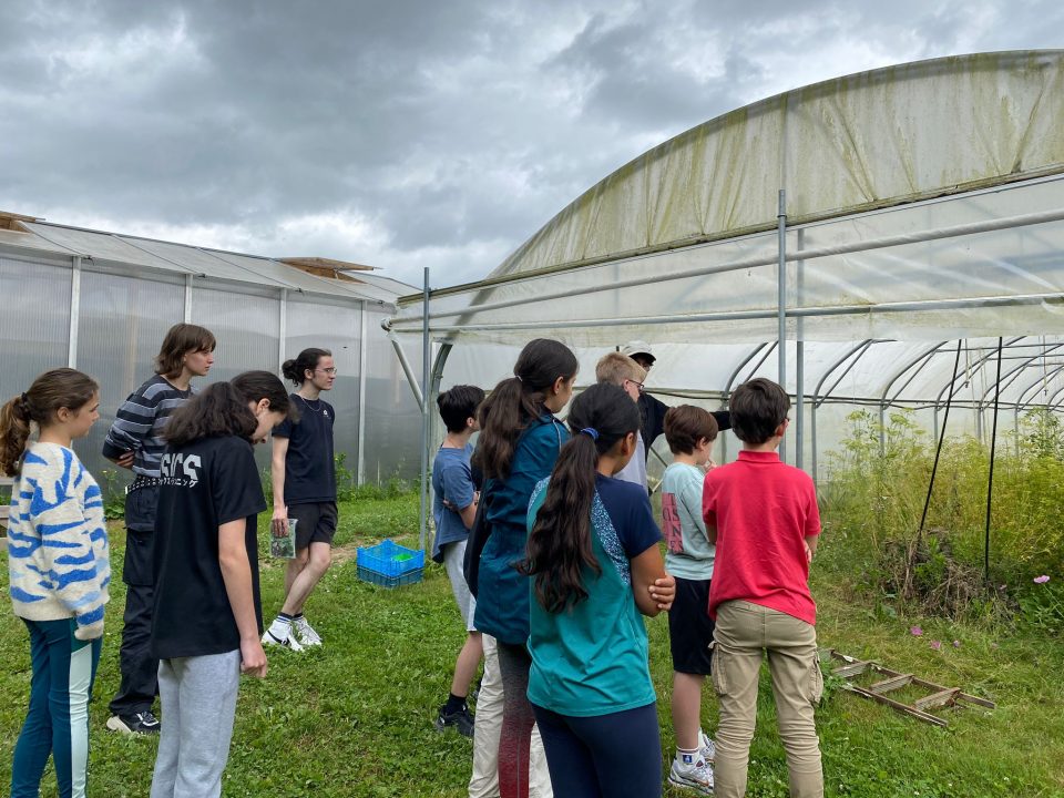 les apprenants ados promenades durant leur stage anglais aux Châteaux des langues