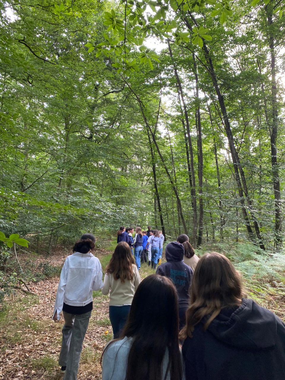 les apprenants ados promenades durant leur stage anglais aux Châteaux des langues