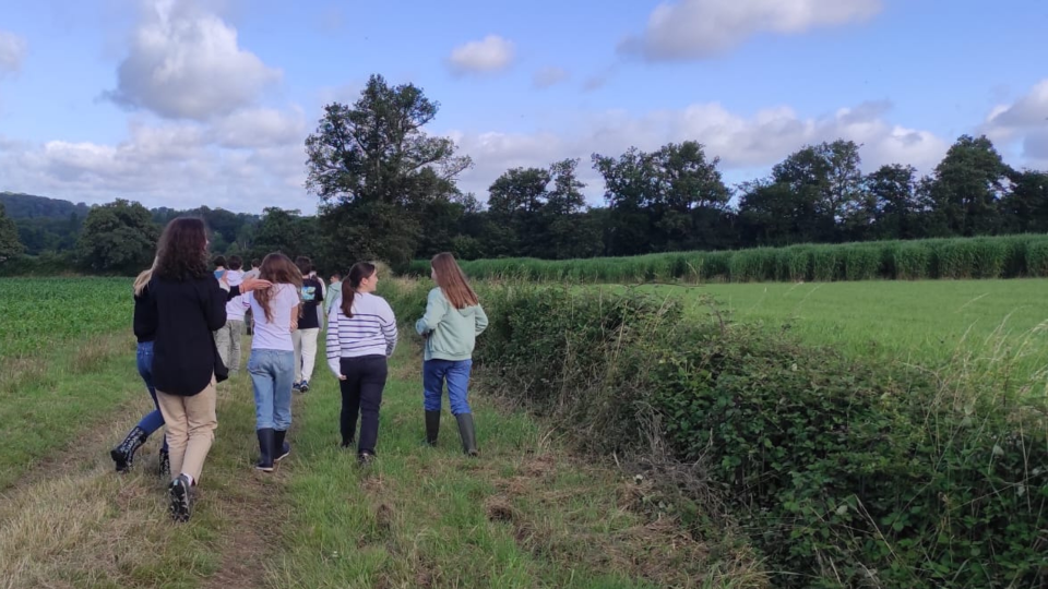 Stage anglais pour collégiens à Châteaux des langues (blog Un séjour anglais en pleine nature)