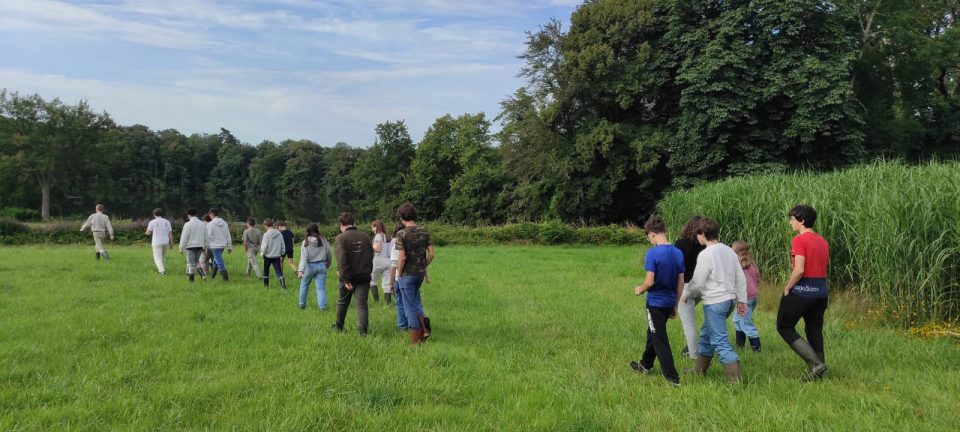 Stage anglais pour collégiens à Châteaux des langues (blog Un séjour anglais en pleine nature)